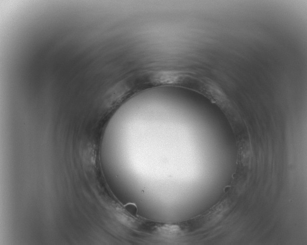 X0000062850374200601171517