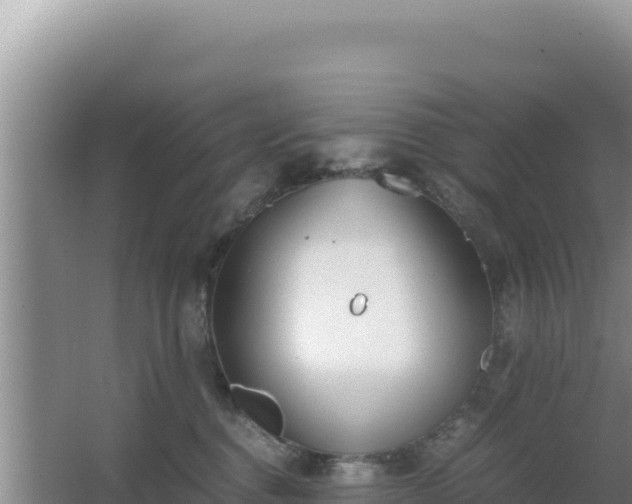 X0000062850376200601171517