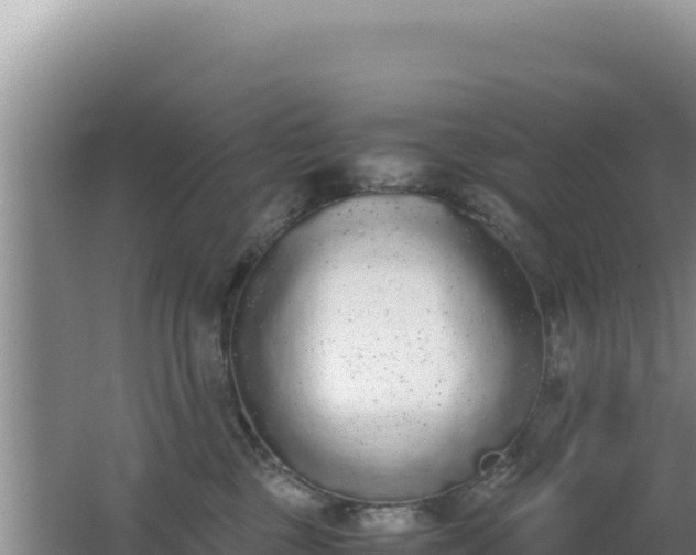 X0000062850377200601171517