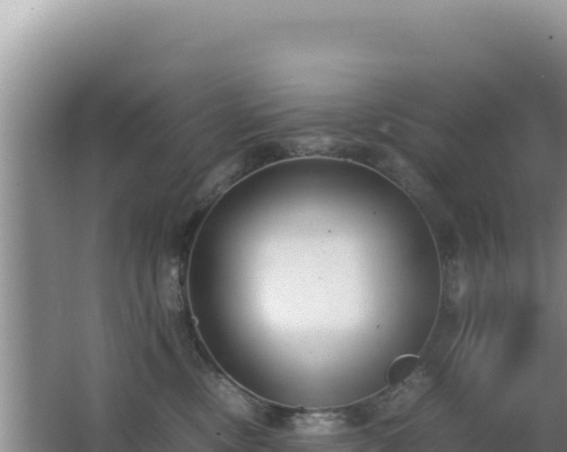 X0000062850378200601171517