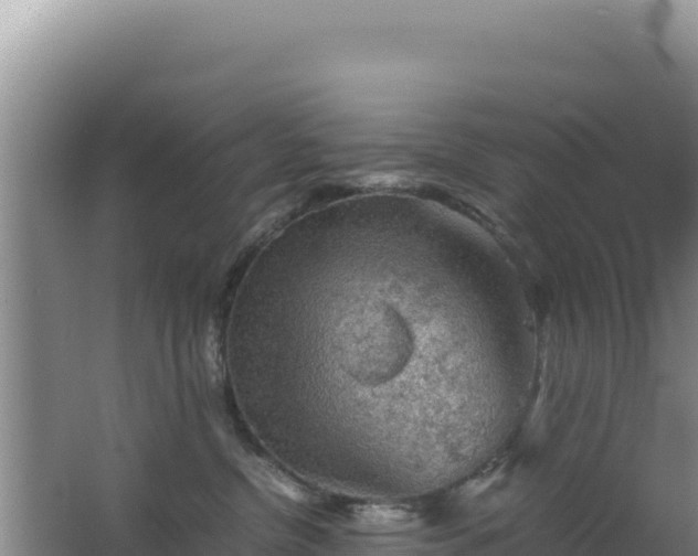 X0000062850380200601171517