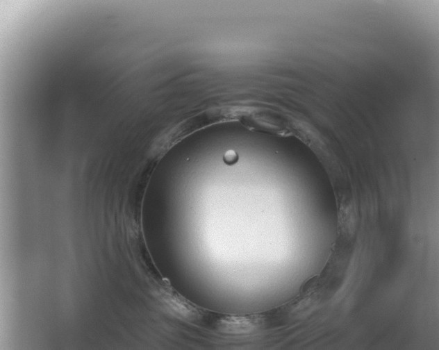 X0000062850381200601171517