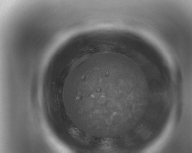 X0000062850382200601171517