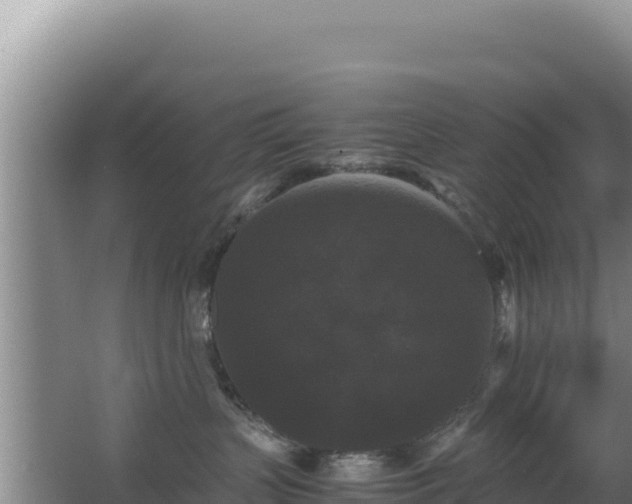 X0000062850383200601171517