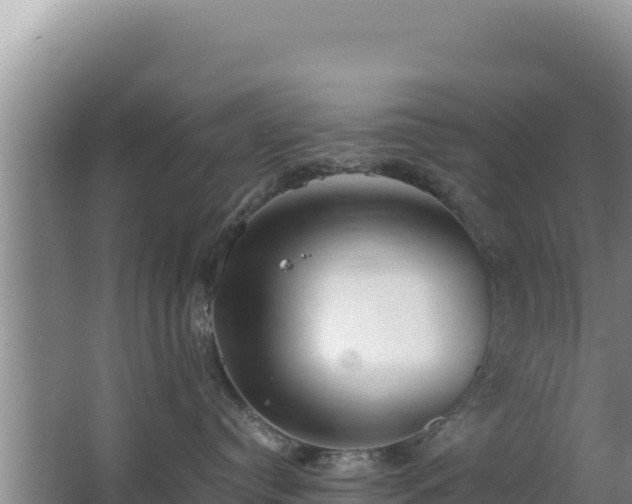 X0000062850384200601171517