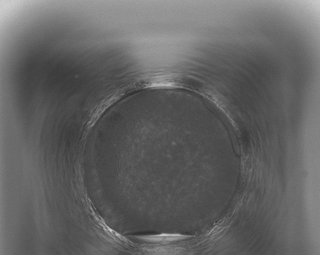 X0000062850385200601171517