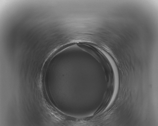 X0000062850387200601171517