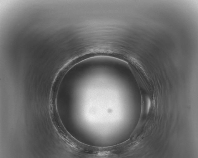 X0000062850388200601171517