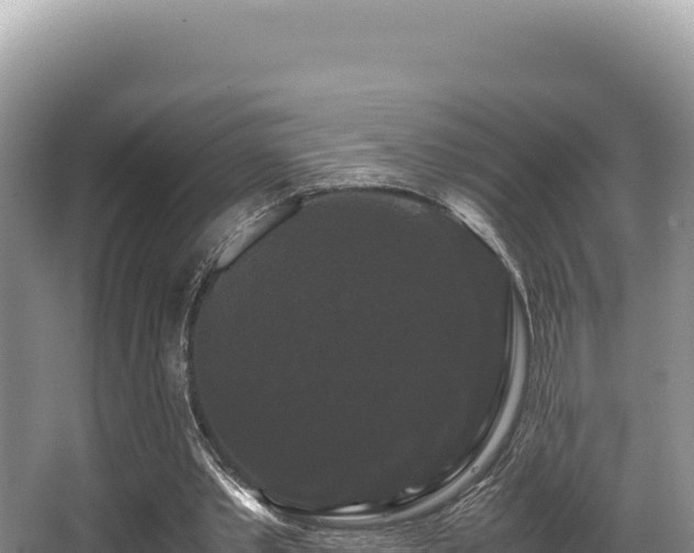 X0000062850389200601171517