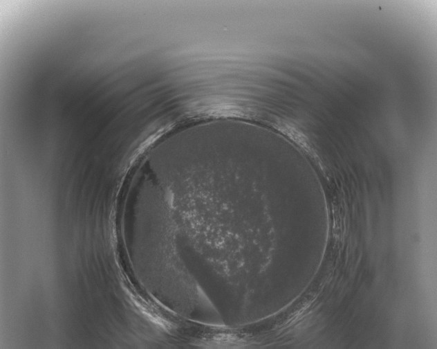 X0000062850390200601171517