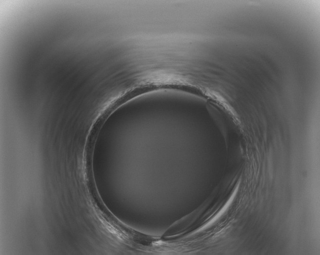 X0000062850391200601171517