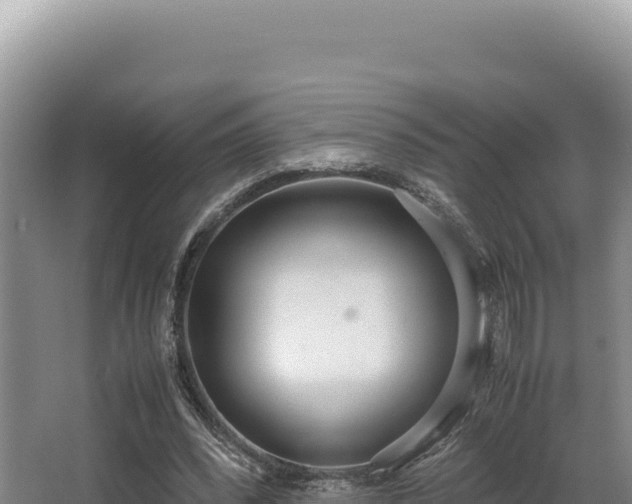 X0000062850392200601171516