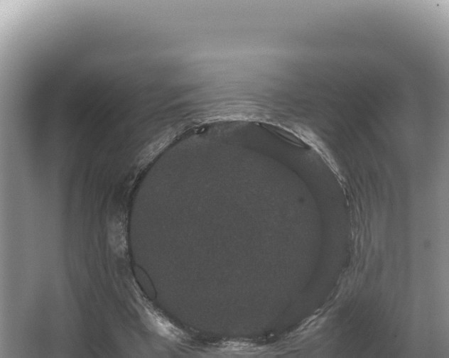 X0000062850393200601171516