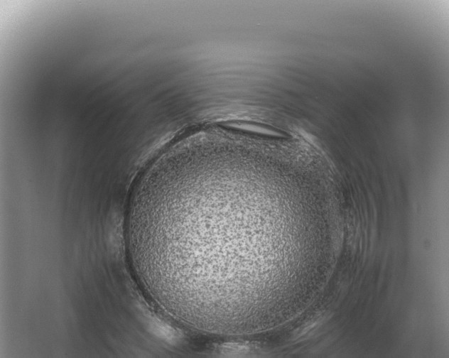 X0000062850394200601171516