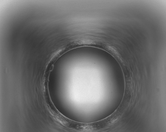 X0000062850395200601171516