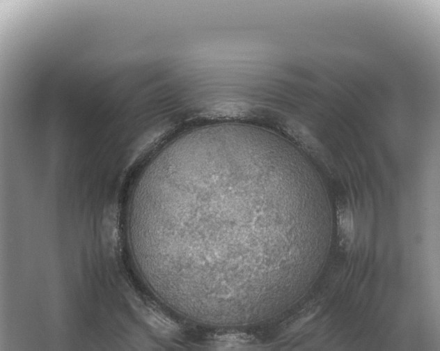 X0000062850396200601171516