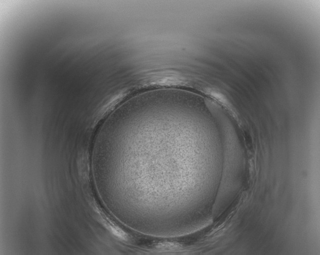 X0000062850397200601171516