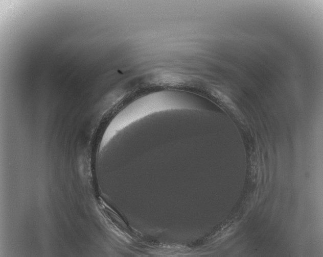 X0000062850399200601171516