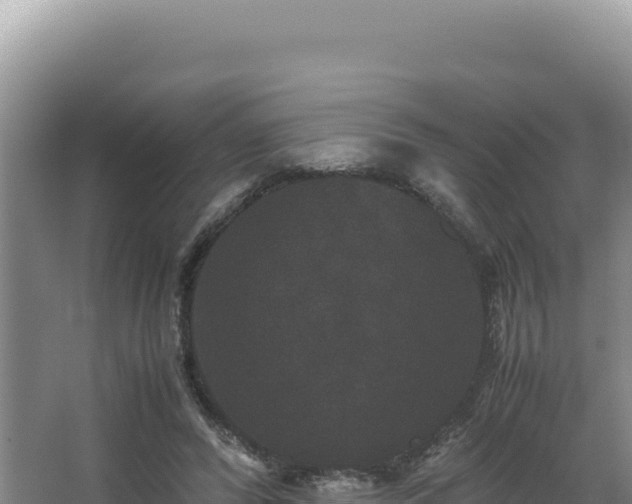 X0000062850400200601171516