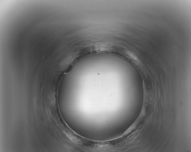 X0000062850401200601171516