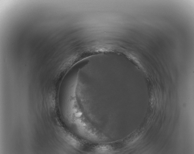 X0000062850402200601171516