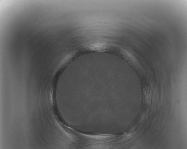 X0000062850404200601171516