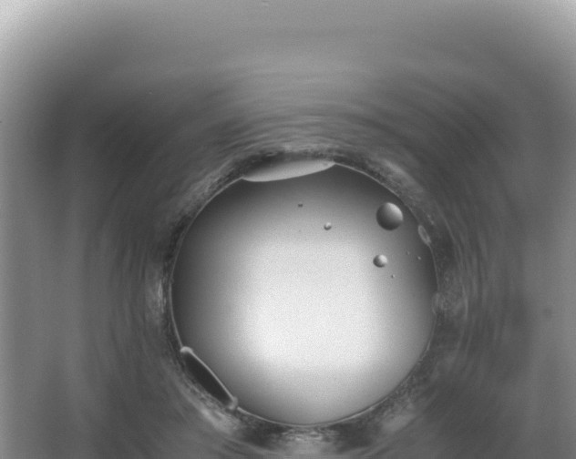 X0000062850405200601171516