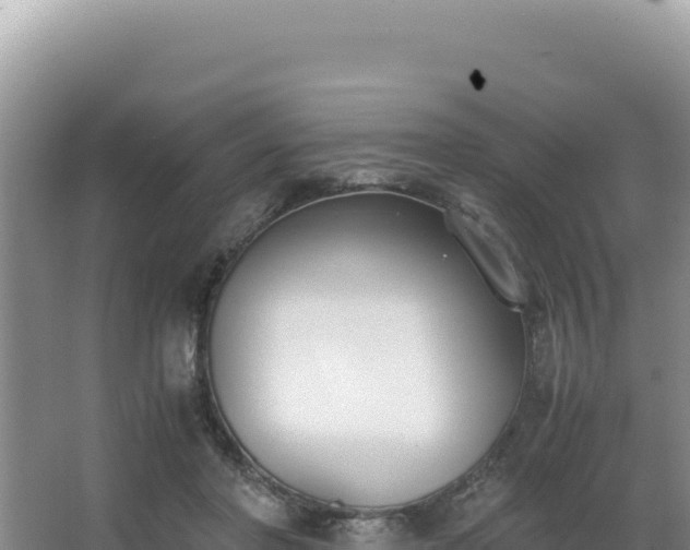 X0000062850406200601171516