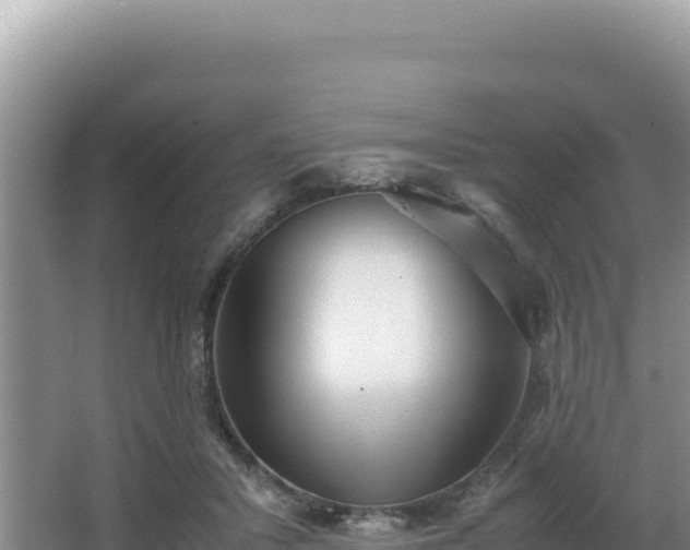 X0000062850407200601171516