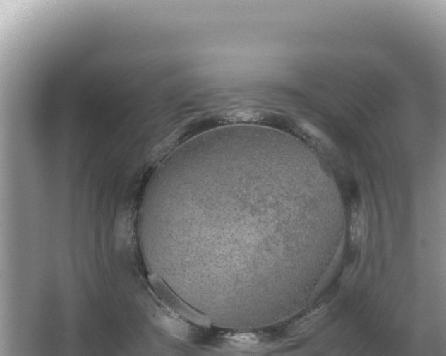 X0000062850409200601171516