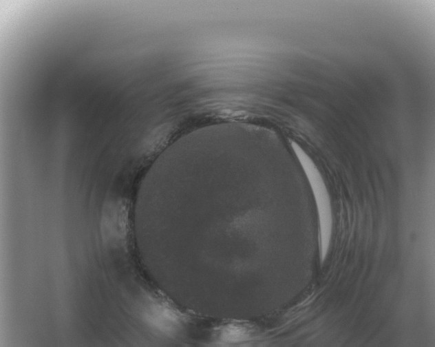 X0000062850412200601171516