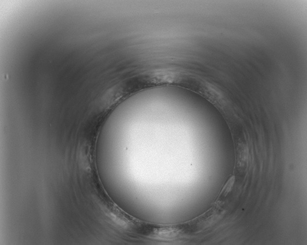 X0000062850414200601171516