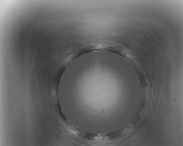 X0000062850415200601171516