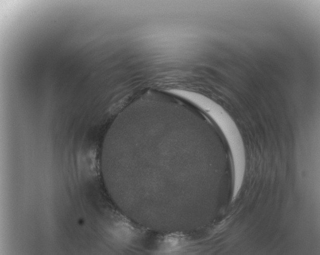 X0000062850420200601171516