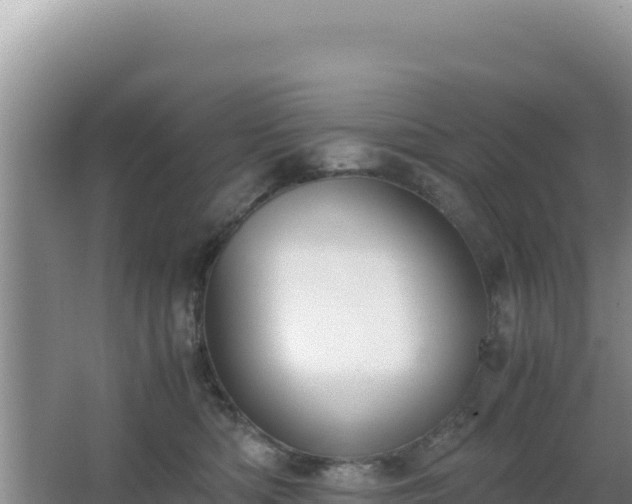 X0000062850422200601171516