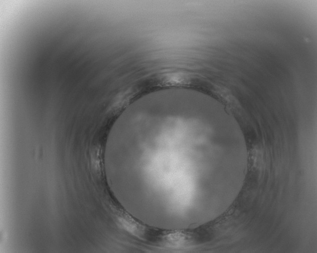 X0000062850423200601171516