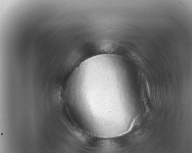 X0000062850424200601171516