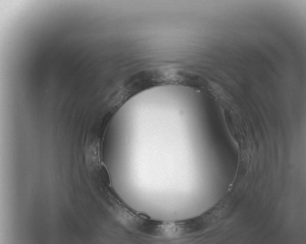 X0000062850425200601171516