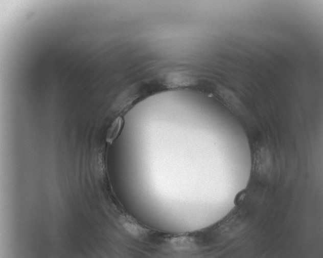 X0000062850426200601171516