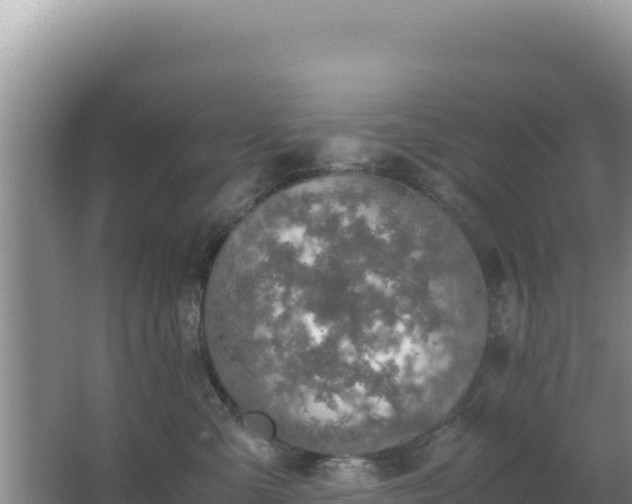 X0000062850427200601171516