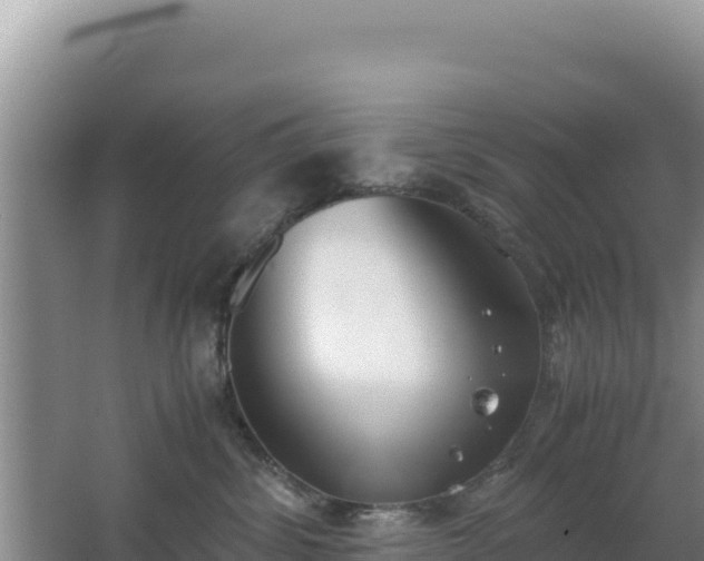 X0000062850428200601171516