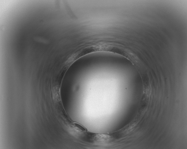 X0000062850429200601171516