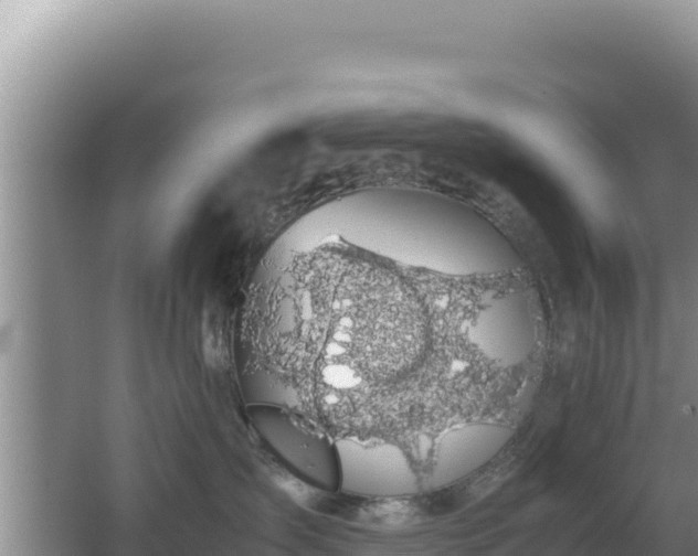 X0000062850431200601171516