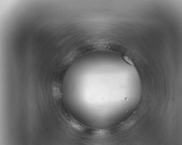 X0000062850432200601171516