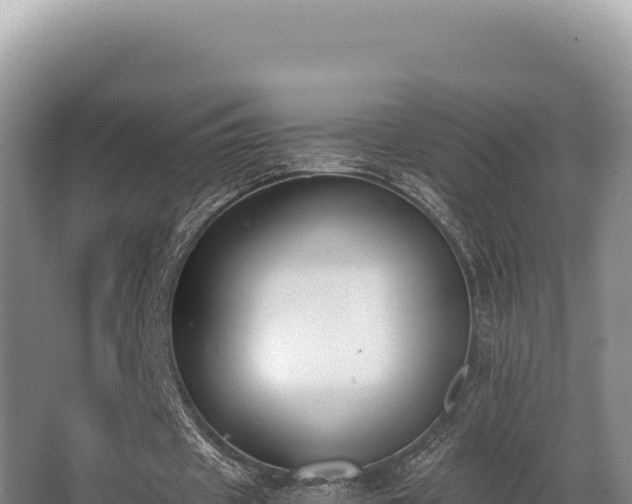 X0000062850433200601171515