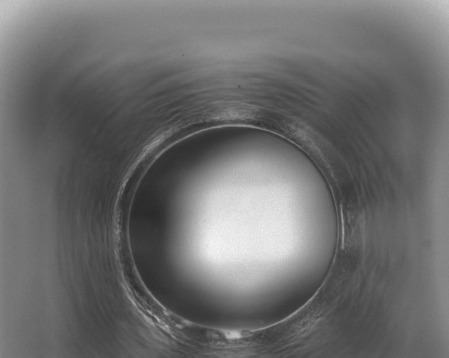 X0000062850435200601171515