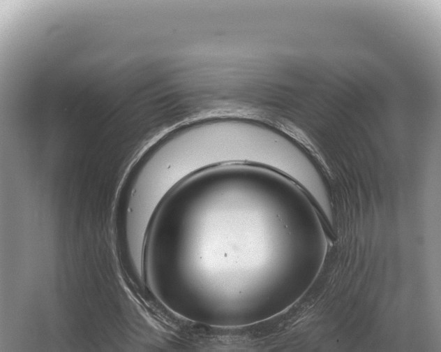 X0000062850436200601171515