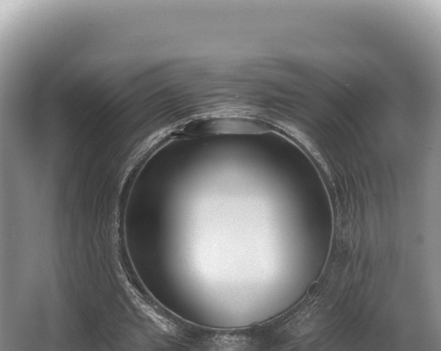 X0000062850437200601171515