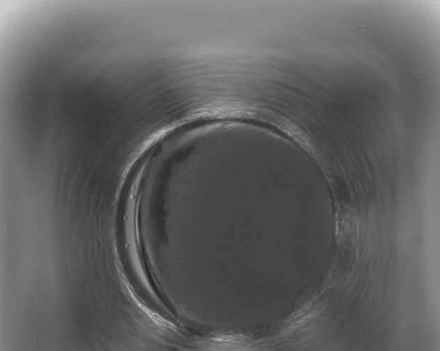 X0000062850438200601171515