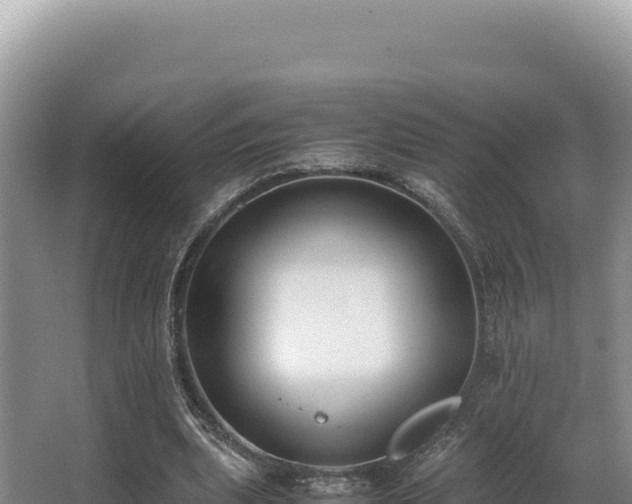 X0000062850439200601171515